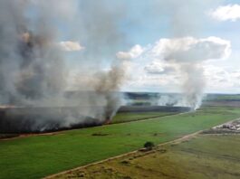 Incêndio em área residencial chama atenção de moradores no bairro Coronel Luciano